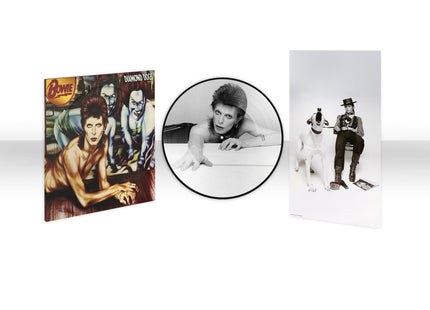 Diamond Dogs Picture Disc | David Bowie