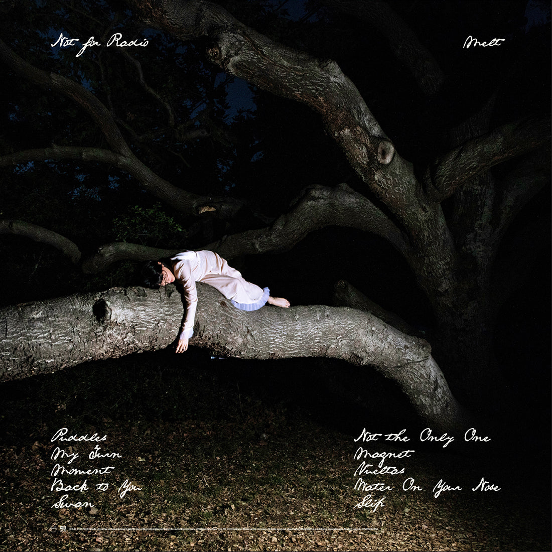 Not for Radio　Melt　限定プレスドモスレコード Melt - pressed moss vinyl (limited edition) | Not For Radio