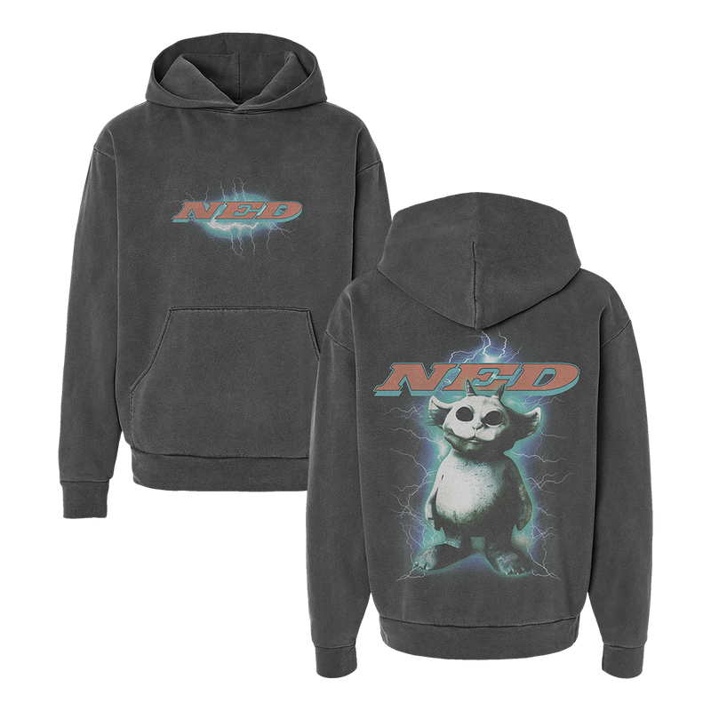 WEIRD SCIENCE GREY HOODIE | NED