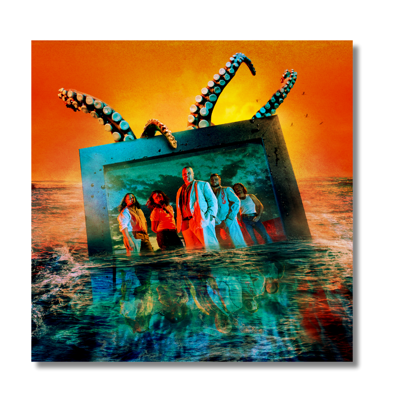 Endemic Intelligence in Multiple Dimensions (Digital Download) | Brad Cox