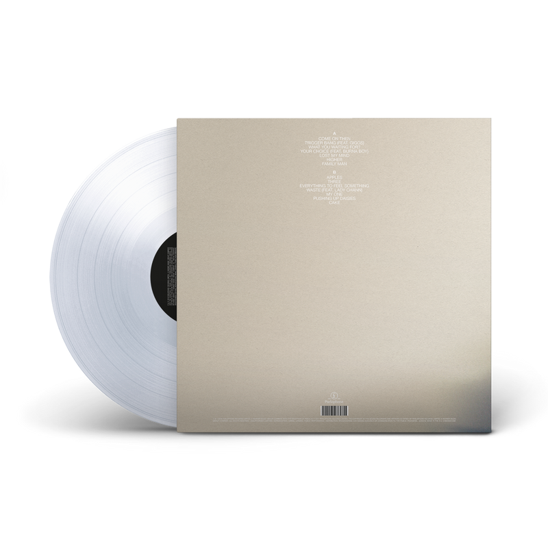 No Shame Crystal Clear Vinyl | Lily Allen