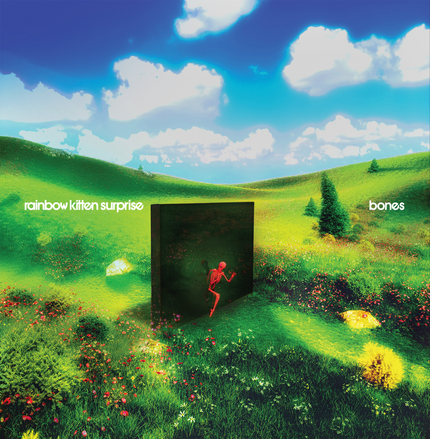 bones Digital Download | Rainbow Kitten Surprise