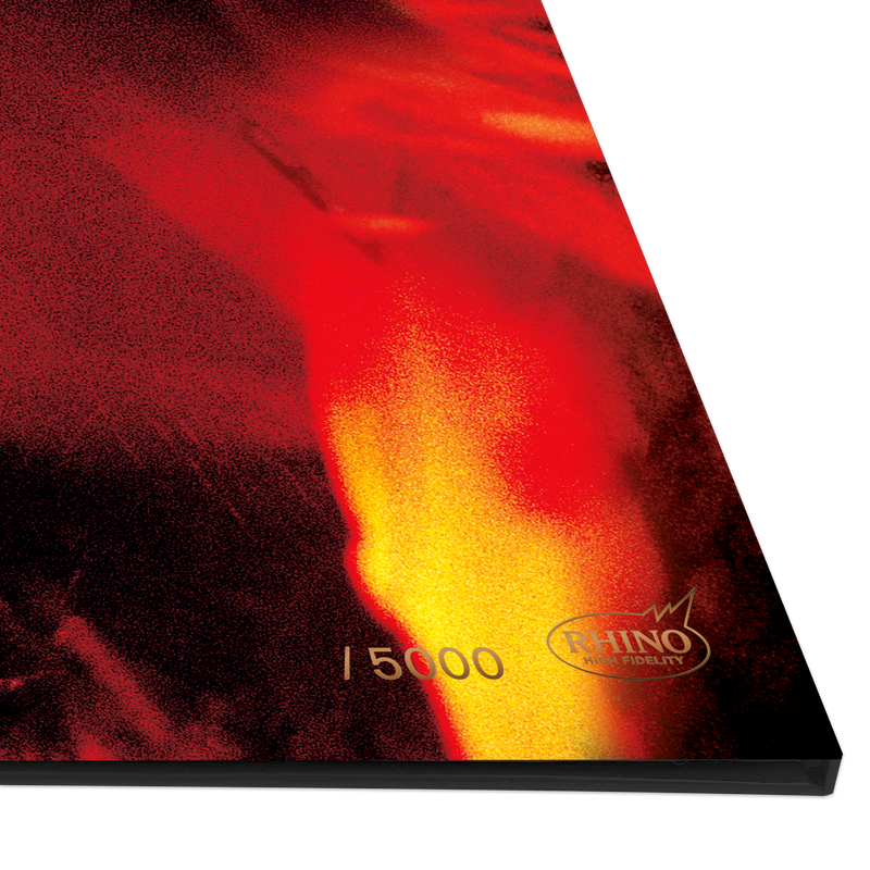 Fun House (Rhino High Fidelity) Vinyl | The Stooges