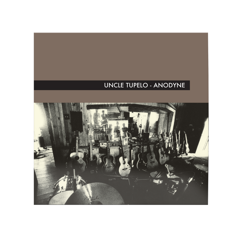 Anodyne (Rhino High Fidelity) Vinyl | Uncle Tupelo