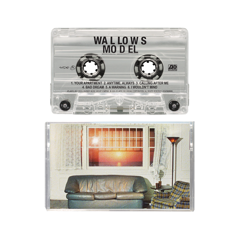 Model Cassette | Wallows