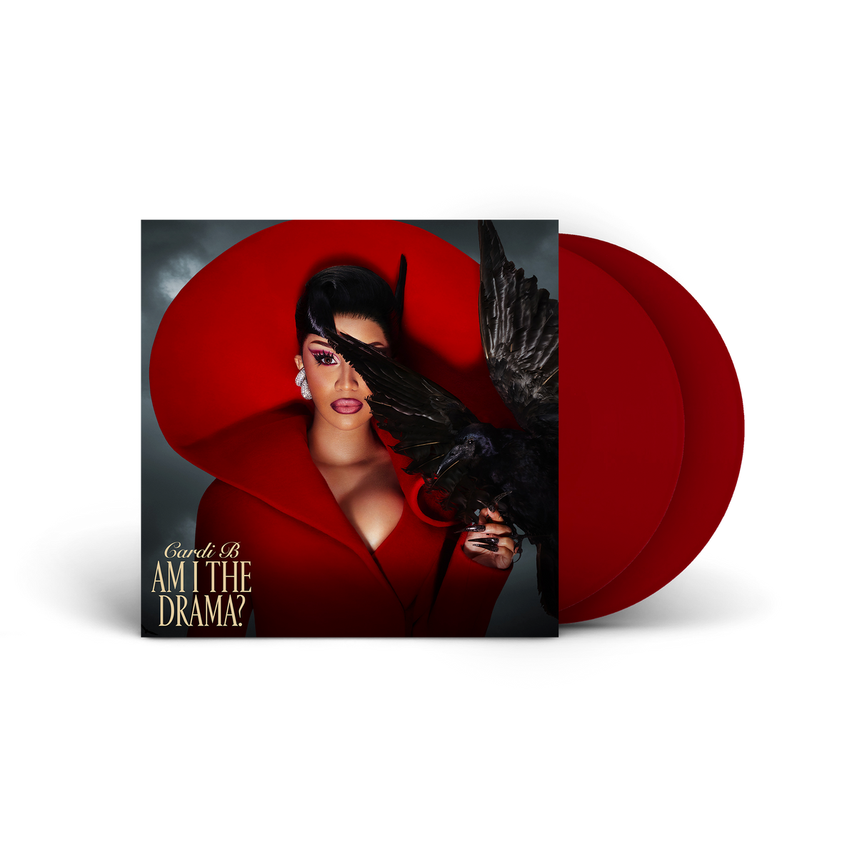 YnR_Vinyl_Alt_Standard_1.png?v