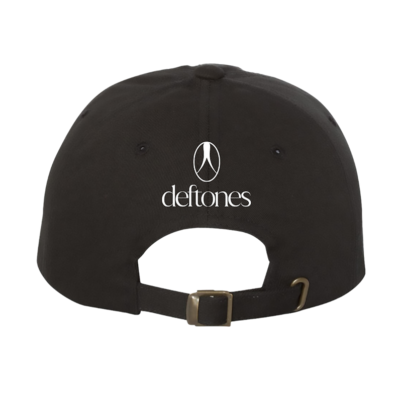 snake embroidered hat