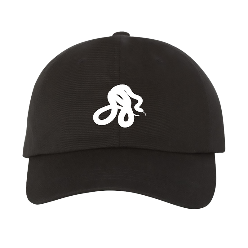 snake embroidered hat