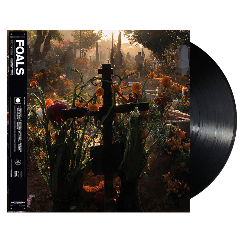 Everything Not Saved Will Be Lost Pt. 2 Vinyl