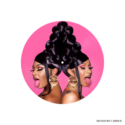 WAP Limited Edition Signed Picture Disc