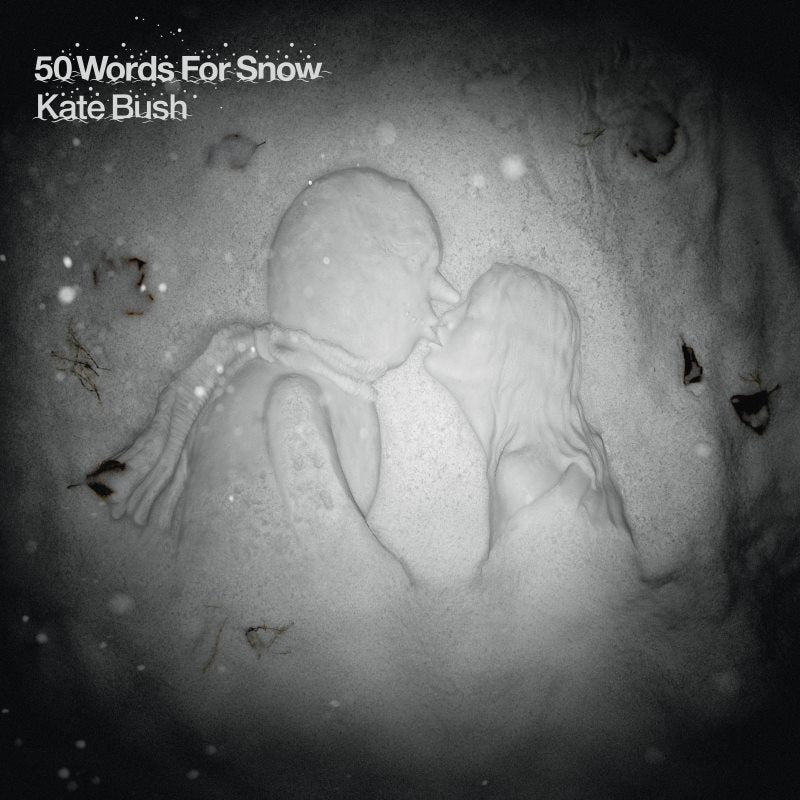 50 Words for Snow (Vinyl)