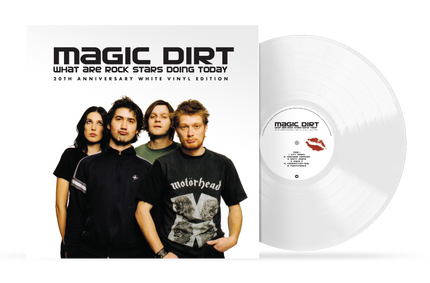 What Are Rock Stars Doing Today (20th Anniversary Edition Vinyl) | Magic Dirt