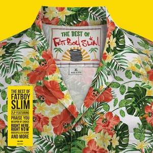 The Best of Fatboy Slim (Vinyl)
