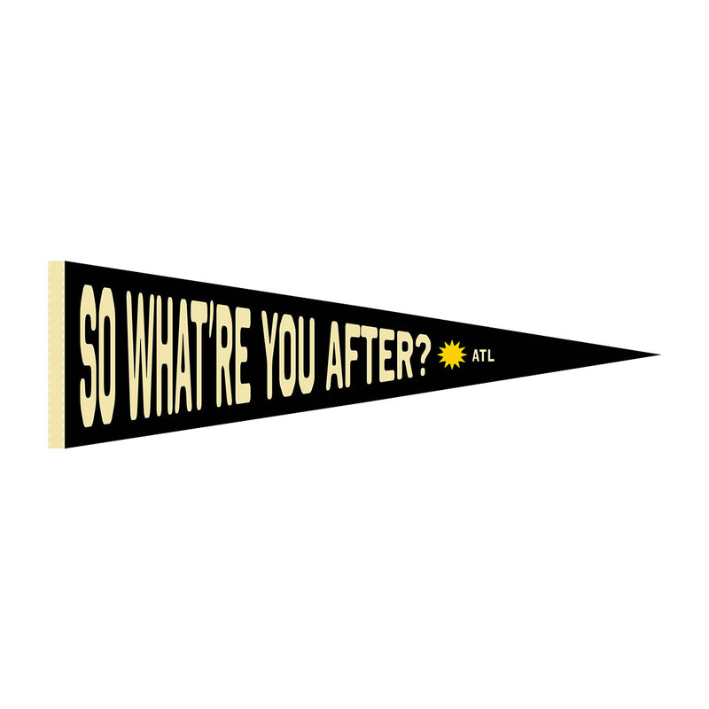 So What're You After? Pennant  (Limited Edition)